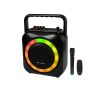 Bluetooth-Lautsprecher BT800 mit Karaoke-Mikrofon - 2