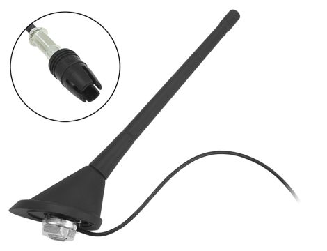 Autoantenne für Fiat RAW (Raku I)