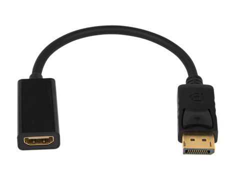 HDMI an DISPLAY PORT 0,2 m