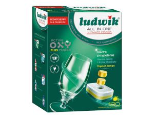 Spülmaschinentabletten 120 Stück All in one P-freie LUDWIK-Verpackung